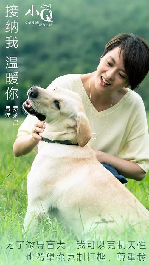 本科毕业可以考哪些含金量高的证书